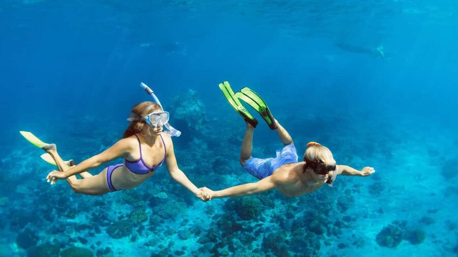 Marsa Alam: Dolphin House Adventure at Shaab Samadai Reef - Dolphin House Adventure at Shaab Samadai Reef: Key Points at a Glance