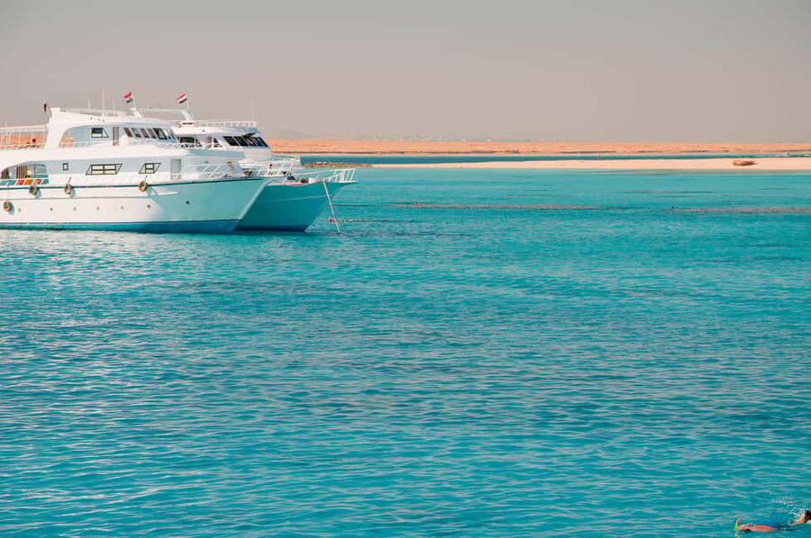 Marsa Alam:Sataya Reefs Dolphin Snorkeling Cruise with Lunch - Should you book Sataya Reef Dolphin House snorkeling from Marsa Alam?