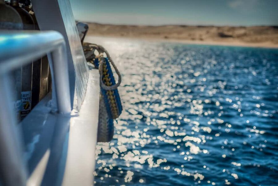 Marsa Alam:Sataya Reefs Dolphin Snorkeling Cruise with Lunch - FAQ