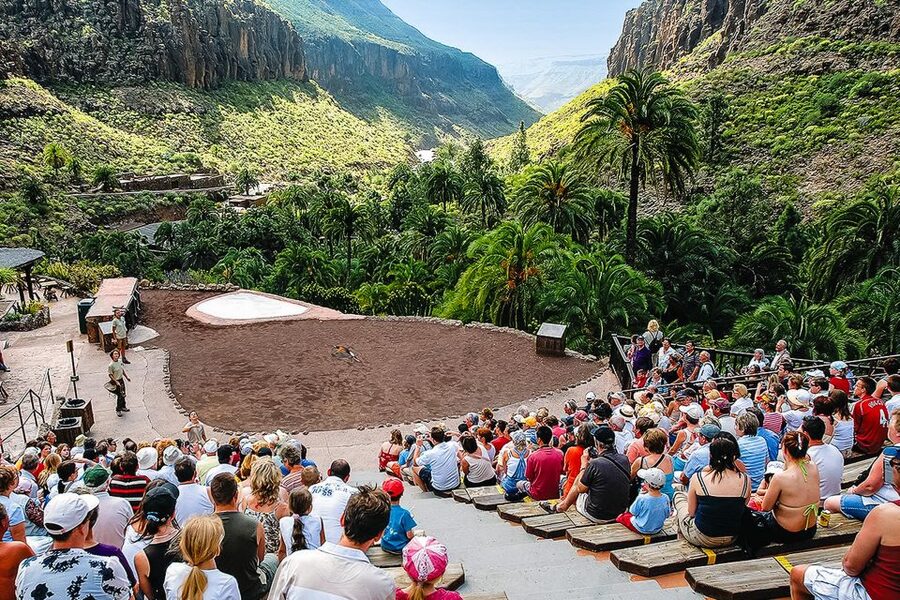 Maspalomas: Palmitos Park Ticket with Dolphin and Bird Shows - Steep Hills Reality Check: How to Plan if Walking Is Hard