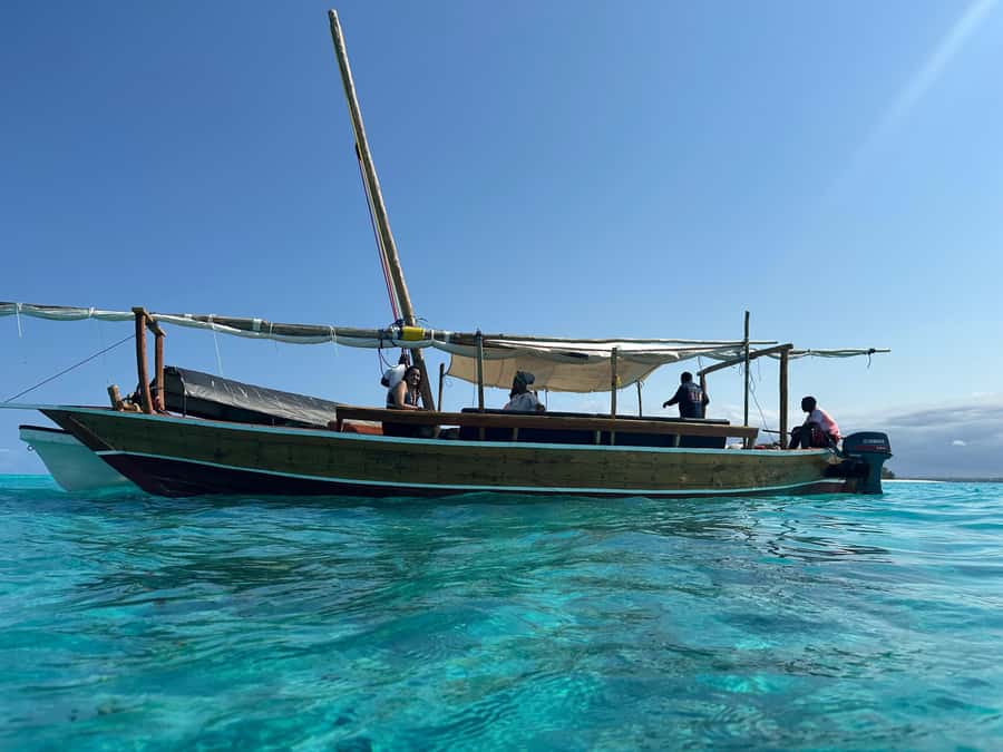 Matemwe: Mnemba Island Dolphin & Snorkeling Boat Trip - Mnemba Island: why this boat trip is worth the morning