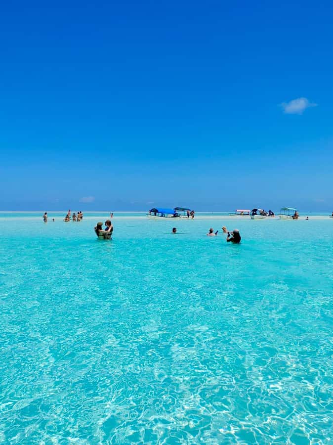 Matemwe: Mnemba Island Dolphin & Snorkeling Boat Trip - Dolphin watching at Mnemba: what actually matters