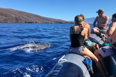 Maui Eco-Raft: 2 Hour Dolphin Watch Sightsee Tour (Semi-Private) - Watching From Eye-Level: No Snorkeling, Still Plenty of Ocean