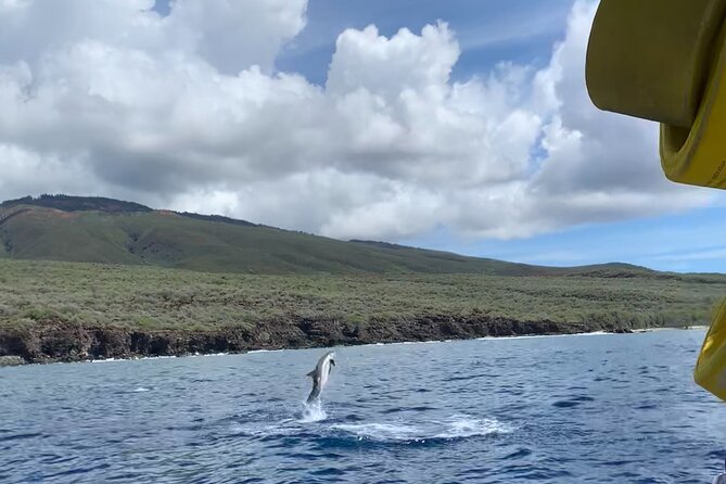 Maui Eco-Raft: 2 Hour Dolphin Watch Sightsee Tour (Semi-Private) - The Itinerary Rhythm: What Happens During Those Two Hours