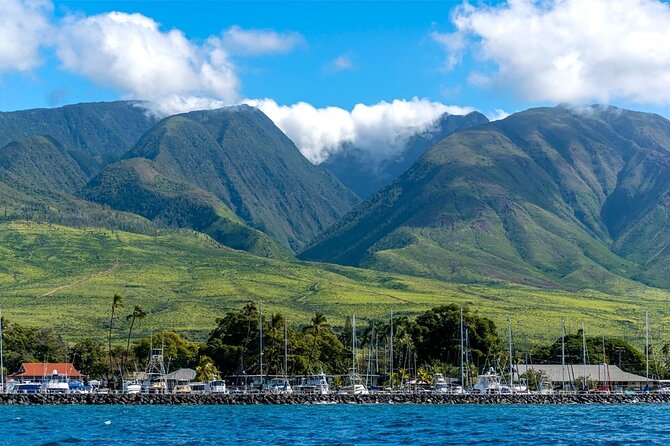 Maui Eco-Raft: 2 Hour Dolphin Watch Sightsee Tour (Semi-Private) - Value: Why $96.52 Can Make Sense Here