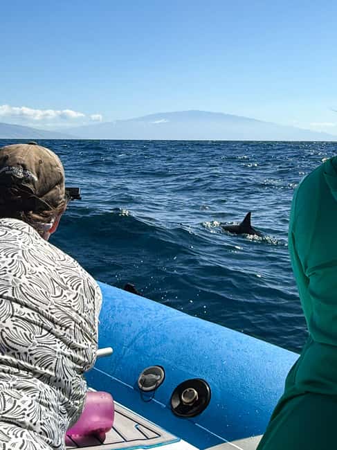 Maui: Eco-Raft Dolphin Watch Tour with Snacks - Key Highlights Worth Marking on Your Trip Plan