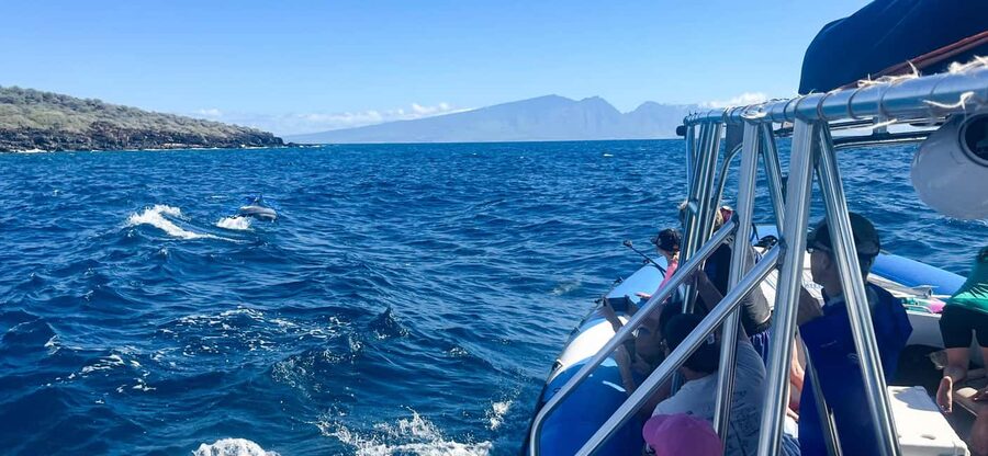Maui: Eco-Raft Dolphin Watch Tour with Snacks - Wildlife Watching From a Small Eco-Raft (The Part Everyone Cares About)