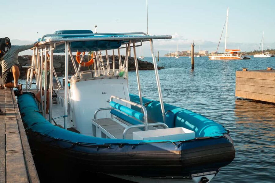 Maui: Eco-Raft Dolphin Watch Tour with Snacks - The Marine Naturalist Touch: Learning That Doesn’t Feel Like Class