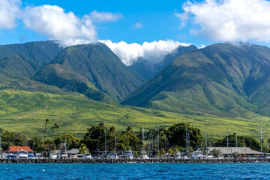 Maui: Eco-Raft Dolphin Watch Tour with Snacks - Itinerary Walkthrough: Start, Cruise, and Return to Front Street