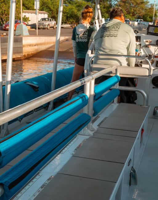 Maui: Eco-Raft Dolphin Watch Tour with Snacks - Who This Tour Fits Best (And Who Should Skip It)