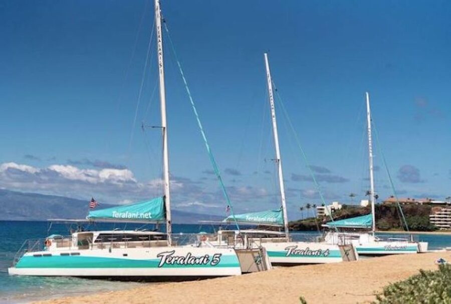 Maui: Kaanapali Dolphin Watching Boat Trip with Lunch - Price and value: what $119 really buys in Kaanapali