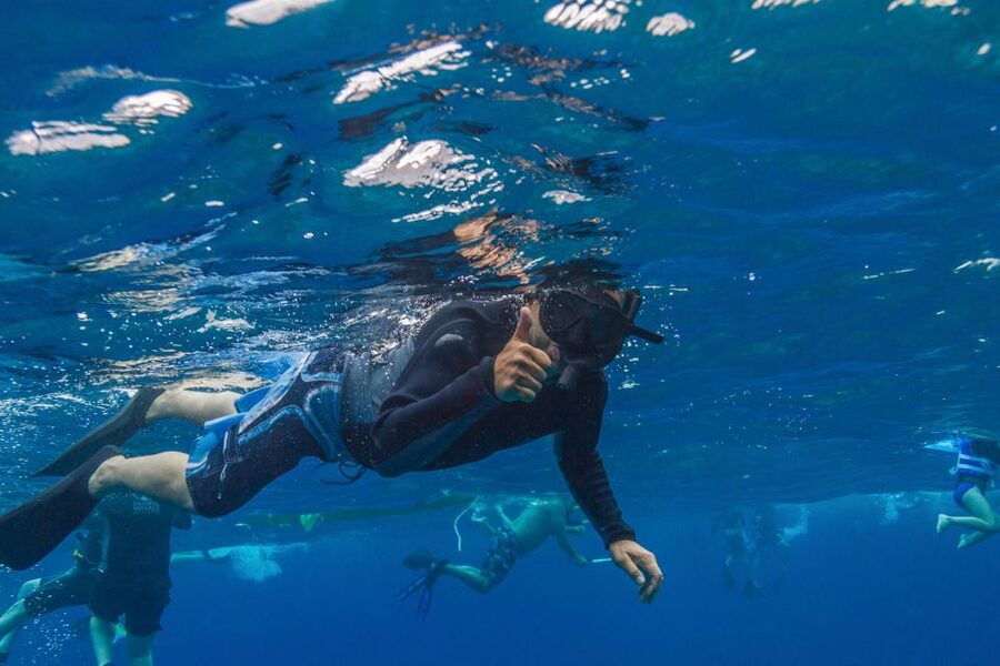 Maui: Lanai Snorkel & Dolphin Watch with Lunch - Dolphin watching from the water: more than a quick sighting
