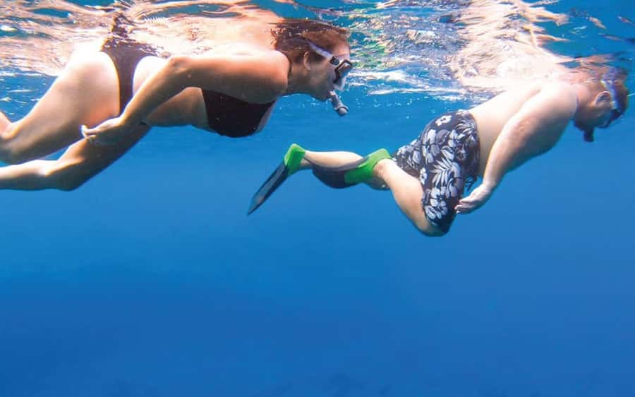 Maui: Semi-Private Eco-Raft Lanai Snorkel & Dolphin Tour - Key things that make this Lanai eco-raft tour special
