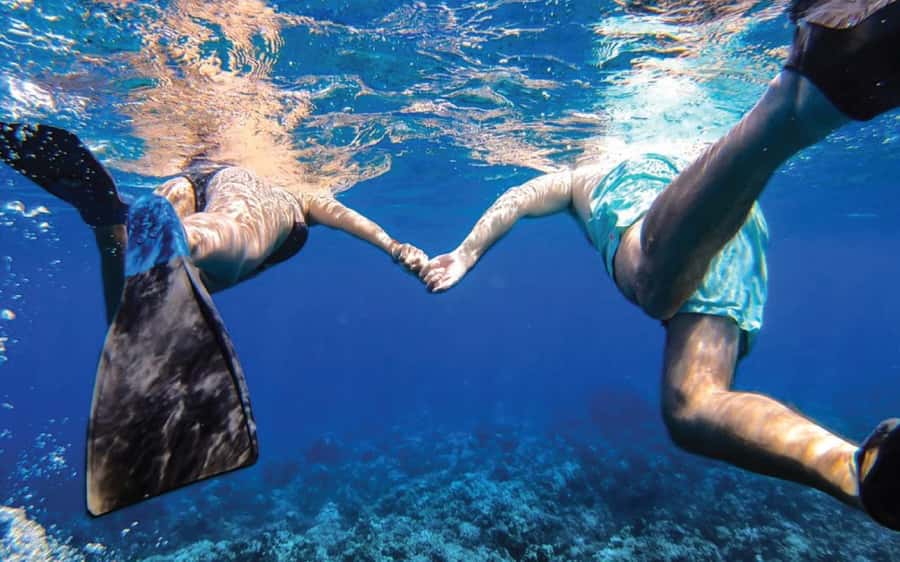 Maui: Semi-Private Eco-Raft Lanai Snorkel & Dolphin Tour - Dolphin watching from Lanai water: when it happens, and how to handle uncertainty