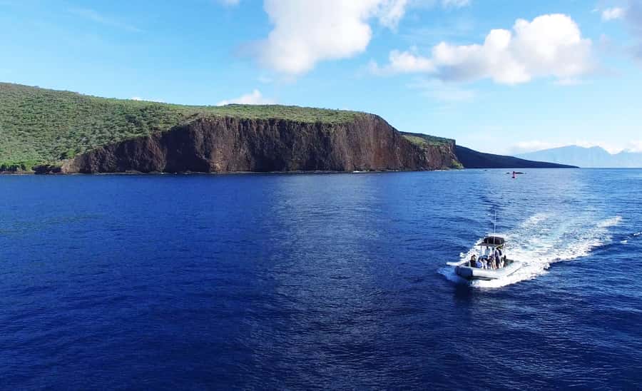 Maui: Semi-Private Eco-Raft Lanai Snorkel & Dolphin Tour - Who should book this Lanai eco-raft tour (and who shouldn’t)
