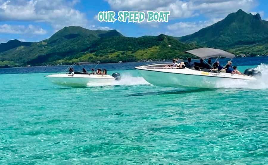 Mauritius: Benitier Island - Swim Dolphins - Speedboat & BBQ - Finding wild dolphins off Mauritius: morning sightings and respectful rules