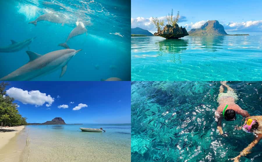 Mauritius: Benitier Island - Swim Dolphins - Speedboat & BBQ - Crystal Rock and Le Morne Brabant: the photo stop with real drama