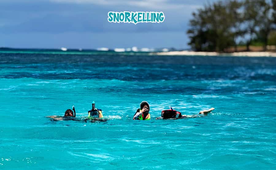 Mauritius: Benitier Island - Swim Dolphins - Speedboat & BBQ - Price and value: $88 for a full-day marine package