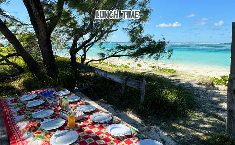 Mauritius: Benitier Island - Swim Dolphins - Speedboat & BBQ - Group size and boat comfort: when “small-group” meets real-world capacity