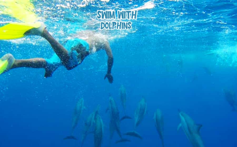 Mauritius: Benitier Island - Swim Dolphins - Speedboat & BBQ - Snorkeling in calm lagoons: La Preneuse Reef and Crystal Rock Reef