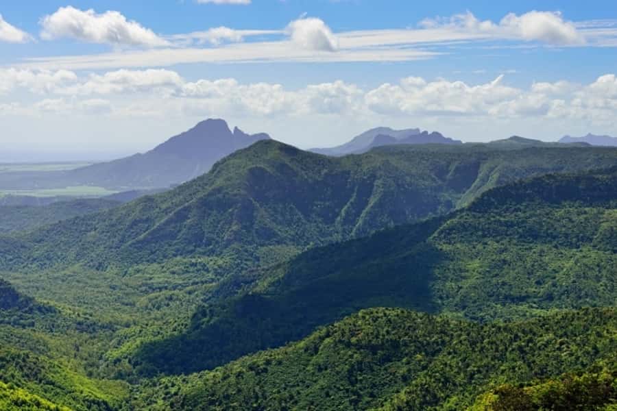 Mauritius Dolphin Encounter and Geographic Marvels Tour - Tamarin Bay dolphin swim: what the open-sea encounter really feels like
