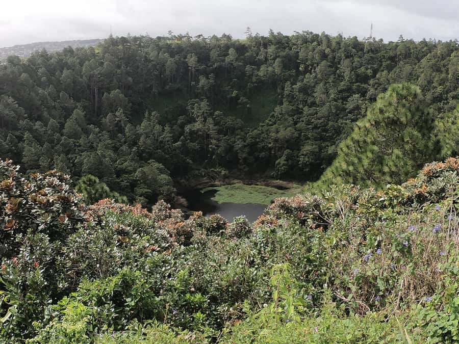 Mauritius: Dolphin Encounter, Trou aux Cerf and Grand Bassin - A full-day Mauritius sampler that mixes sea, sky, and temple steps