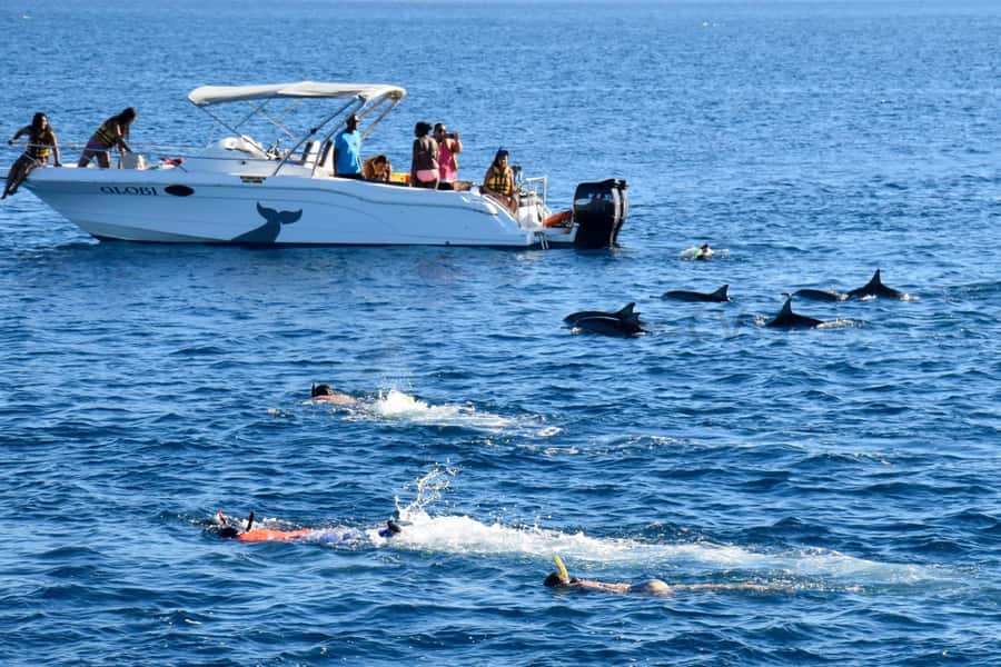 Mauritius: Dolphin Encounter, Trou aux Cerf and Grand Bassin - Swimming with wild dolphins off the Black River: what the experience really is