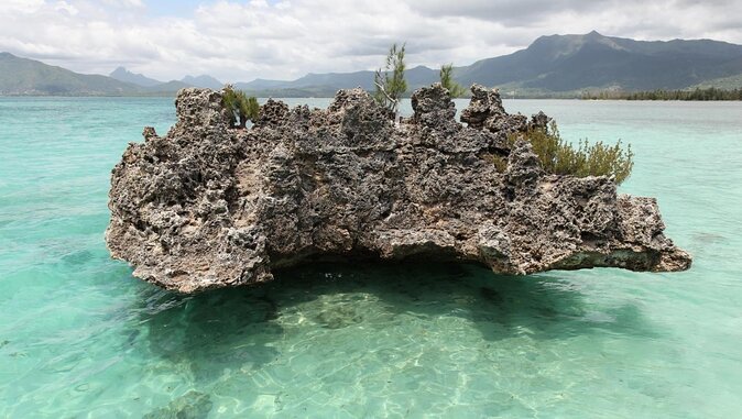 Mauritius : Dolphins Swim and Ile Aux Bénitiers with BBQ - Key things to know before you go
