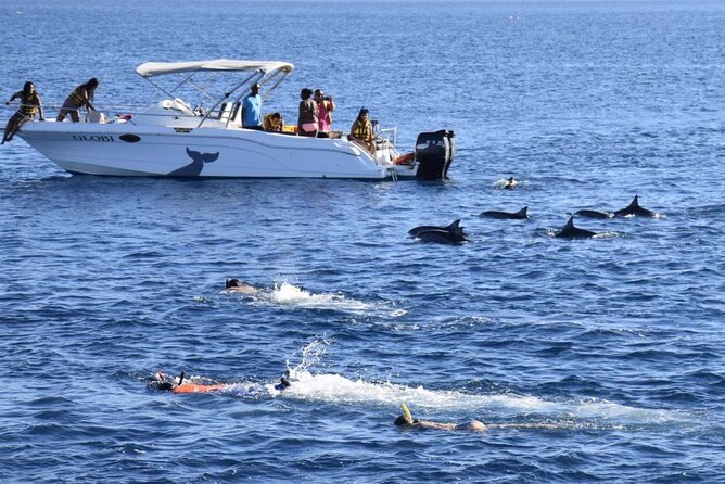Mauritius : Dolphins Swim and Ile Aux Bénitiers with BBQ - Tamarin Morning: Why this start time matters