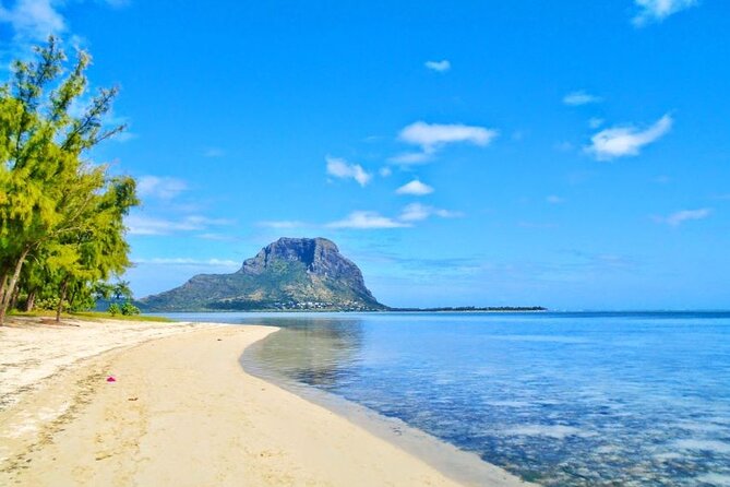 Mauritius : Dolphins Swim and Ile Aux Bénitiers with BBQ - Snorkeling the Black River reef: colorful fish, but read the water