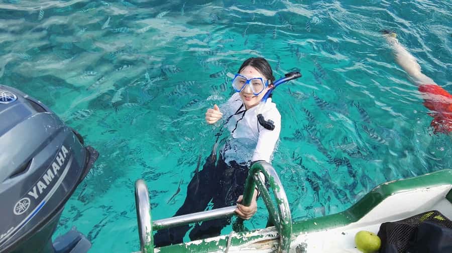 Mauritius: Dolphins watch half-day - Briefing First: Dolphin-Watching Rules That Change the Experience