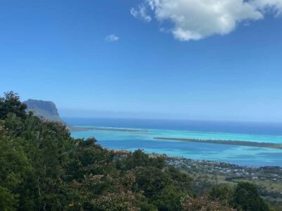 Mauritius: Dolphins watch half-day - Speedboat Transfer: Why Fast Transport Helps