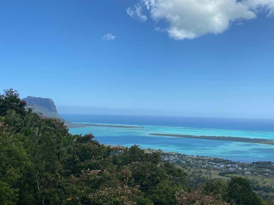 Mauritius: Dolphins watch half-day - Speedboat Transfer: Why Fast Transport Helps