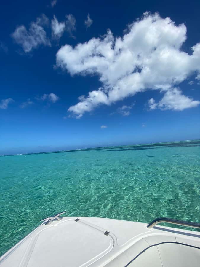 Mauritius Le Morne: Eco-Friendly Dolphin Watching Tour - Key highlights you’ll actually feel