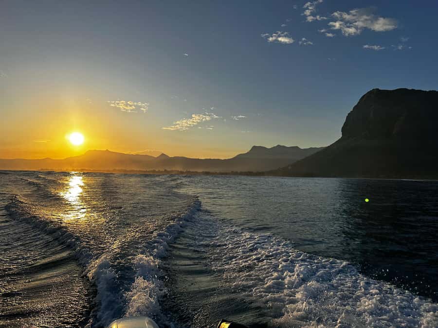 Mauritius Le Morne: Eco-Friendly Dolphin Watching Tour - Eco-friendly expectations: what you can control and what to respect