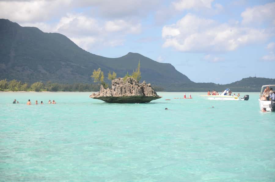 Mauritius: Ocean Swim with Dolphins - Getting to Martello Tower Museum and starting on time