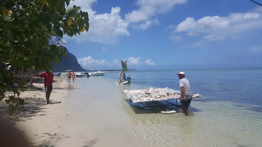 Mauritius: Ocean Swim with Dolphins - Dolphin swimming expectations: fun, yes, but stay practical