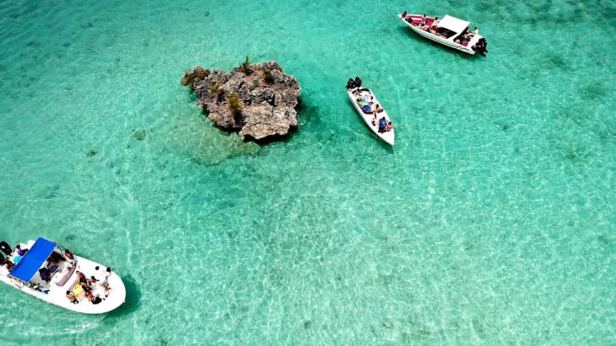 Mauritius: Ocean Swim with Dolphins - What to pack (and what to leave behind)