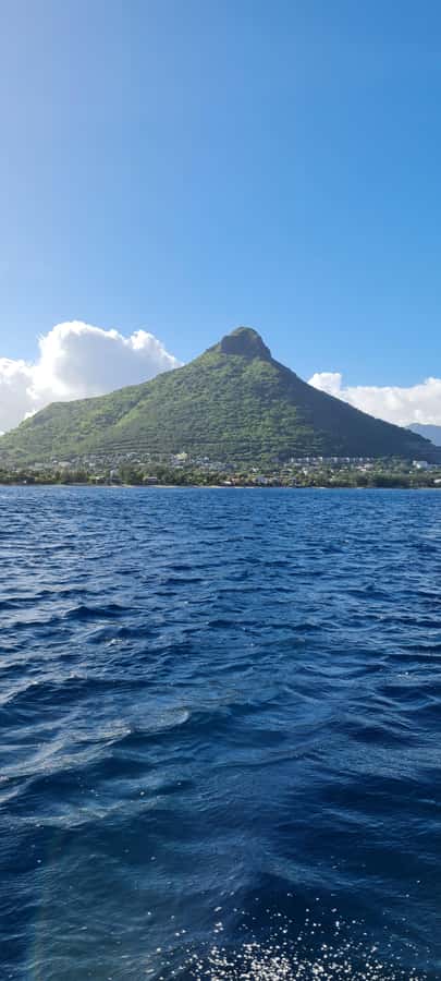 Mauritius: Snorkel and Swim with Dolphins on Speedboat Tour - Snorkeling Add-On: What You Get Beyond the Dolphins