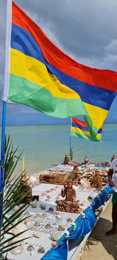 Mauritius: Snorkel and Swim with Dolphins on Speedboat Tour - Price and Value: Is $49 a Smart Deal?
