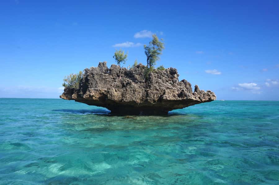 Mauritius: Swim with Dolphins Full-Day with Lunch/Drinks - Key Highlights You’ll Actually Feel