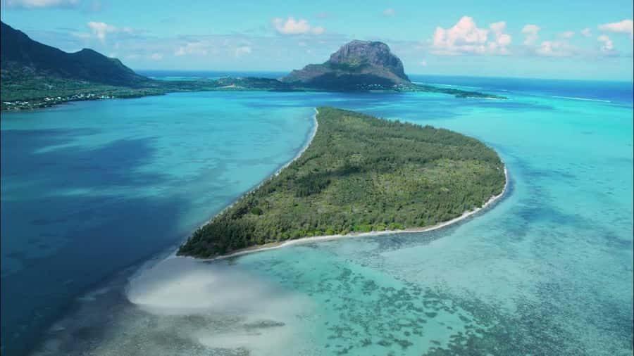 Mauritius: Swim with Dolphins Full-Day with Lunch/Drinks - Snorkeling at the Aquarium Reef: The Part You’ll Remember Later