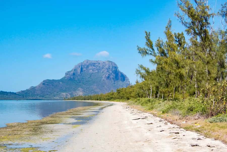 Mauritius: Swim with Dolphins Full-Day with Lunch/Drinks - Crowds, Hectic Swims, and Water Temperature: The Stuff to Know