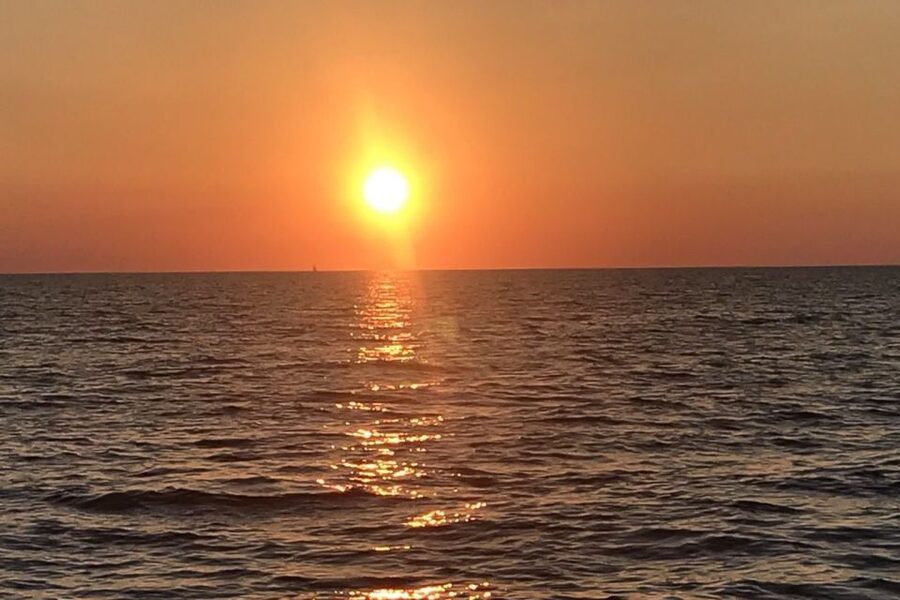 Medulin: Dolphin Sunset Tour 85% chance with Drinks + Dinner - Dinner and drinks onboard: what “unlimited” feels like at sea