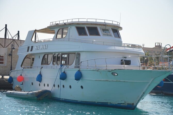 Meet the dolphins in snorkeling tour - The Snorkeling Plan: Two Stops That Change the Mood