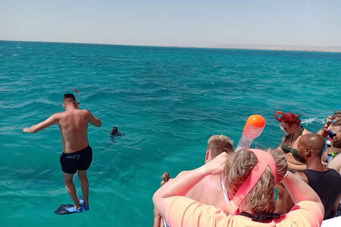 Meet the dolphins in snorkeling tour - Who This Tour Suits Best