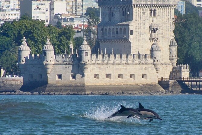 Meet the Lisbon Dolphins - Dolphin Watching in Lisbon - What to Bring: Cold Water, Sun, and Practical Boat Tips