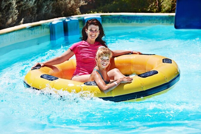 Meeting at the Dolphinarium - Key Highlights to Know Before You Go