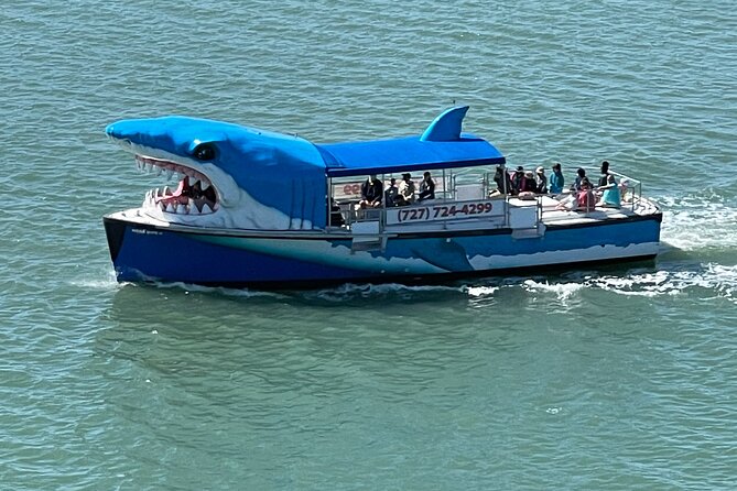Mega Bite Dolphin Tour Boat in Clearwater Beach - The Big Idea Behind the Mega Bite: A Boat Built to Make Dolphins Show Up