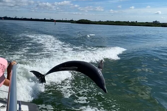 Mega Bite Dolphin Tour Boat in Clearwater Beach - Best Times to Go: Sunset for the Win (When Weather Allows)